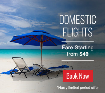 Cheap Domestic Flights USA
